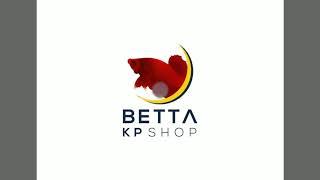 DUMBO WHITE PK NÉT ĐẸP TỪ ĐÔI TAI. KP BETTA SHOP 0918665334