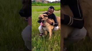 Outside with Cloudie #youtubeshorts #shortsfeed #shortvideo ##shorts #short #viral #reels #doglover