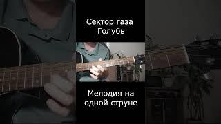 Сектор газа - Голубь ( На одной струне ) #гитара #секторгаза #юрахой #shorts