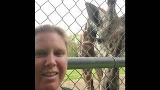 Zoo School Day 38 - Thank YOU!
