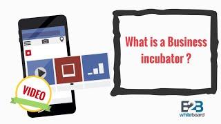 What is a Business incubator ?