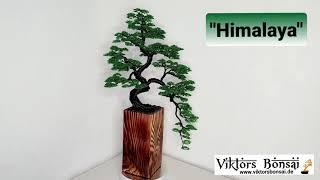 Drahtbaum kaufen, ViktorsBonsai - "Himalaya", Bonsai aus Draht, Drahtbaum als Geschenk.