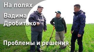 На полях Вадима Дробитько | Проблемы и решения