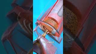 How A Flare Gun Works 