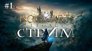 ️ HOGWARTS LEGACY | СТРИМ | Уютная осень 