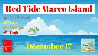 Red Tide Current Status Marco Island News