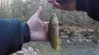 Amazing Colaboration fishing part 2 Out and About OutDoors with Ron and Friends Episode 72 Season 1