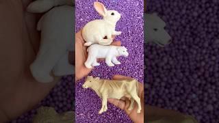 wow #animals