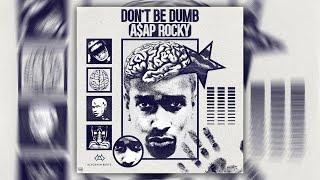 [FREE] VINTAGE SAMPLE PACK - "DON`T BE DUMB" | ASAP Rocky, Memphis, ASAP Ferg | Phonk, HipHop, Trap