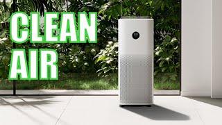 Xiaomi Air Purifier Review: Clean Air, Smart Features, and Perfect for Home & Office!