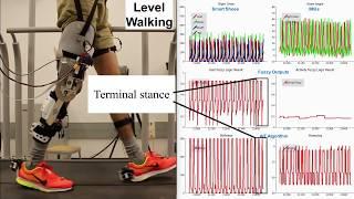 Automatic Virtual Impedance Adaptation of a Knee Exoskeleton for Personalized Walking Assistance