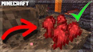 MINECRAFT | How to Find Nether Warts! 1.16.1