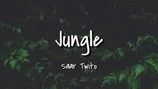 Jungle - Saar Twito (lyrics)