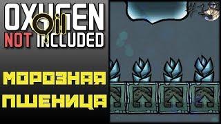 Oxygen Not Included: Oil Upgrade #17 - ФЕРМА МОРОЗНОЙ ПШЕНИЦЫ