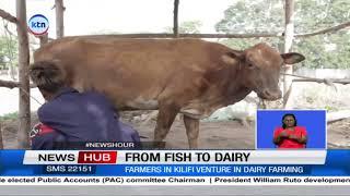 From Fish to Dairy: Kilifi women find success in dairy farming