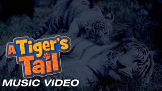 A Tiger's Tail | Music Video | Watching Over You by Kari Kimmel