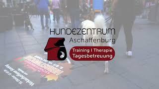 Tierschutzkurs 2023 - Eine Kooperation zwischen Tierschutzverein und Hundezentrum Aschaffenburg