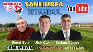 18.12.2024 Şanlıurfa ve İstanbul Altılı Ganyan Tahminleri