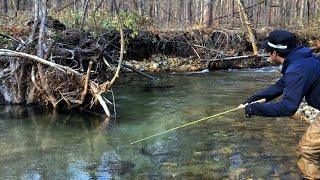 Tiny Creek Fishing Challenge!