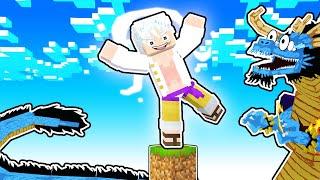 One Piece Minecraft, But we only have One Block...