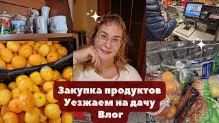 Закупка продуктов на неделю.Собираемся на дачу.Цены в Эстонии 2023.Дешевое мясо.Расхламление посуды