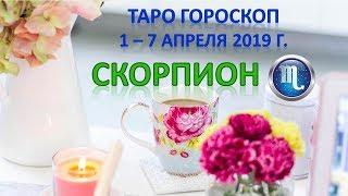  Таро Прогноз с 1 по 7 АПРЕЛЯ 2019 г. СКОРПИОН