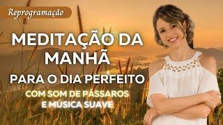 Meditação da manhã para o dia perfeito |Melhor reprogramação para iniciar bem o dia |Lei da Atração