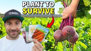 DON'T STARVE! 10 Cold Hardy SURVIVAL CROPS You Can Grow All Winter!