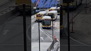 Queensland promised 50c public transport by both government and opposition | ABC News