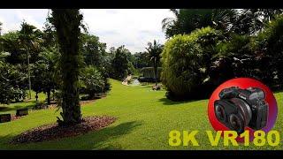 RELAXATION at the SINGAPORE BOTANICAL GARDENS 8K 4K VR180 3D (Travel Videos ASMR Music)