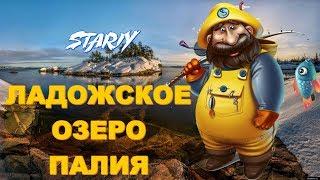 ⏪ ЛАДОЖСКОЕ ОЗЕРО ПАЛИЯ ⏩ Russian Fishing 4 (РР4,RF4) Русская Рыбалка 4 STARIY