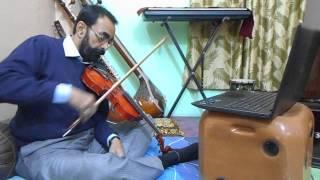 Violin Training Online Skype Lessons Beginners learn to play Violin Carnatic Music Guru Teachers