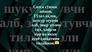 #гуласал