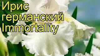 Ирис германский Имморталити (Бессмертие). Краткий обзор, описание iris germanica Immortality