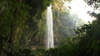  Waterfall Scenery in Tropical Rainforest with the Sound of Falling Water and Singing Jungle Birds