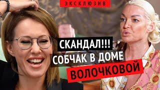 АНАСТАСИЯ ВОЛОЧКОВА ВОЙНА С КСЕНИЕЙ СОБЧАК! ЭСКОРТ БАЛЕРИН, ЧЕСТНО О ПРОФЕССИИ И МУЖЧИНАХ #интервью