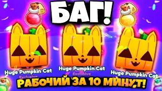 РАБОЧИЙ БАГ  НА HUGE PUMPKIN CAT!  БАГ НА ОТКРЫТИЕ ЯИЦ в ПЕТ СИМУЛЯТОР Х + КОДЫ в PET SIMULATOR X