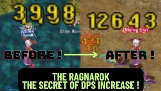 THE SECRET WAY OF DPS INCREASE ! | THE RAGNAROK