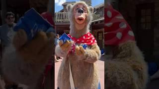 Playing Cornhole with Liver Lips McGrowl | Disney’s Magic Kingdom Country Bear Jamboree