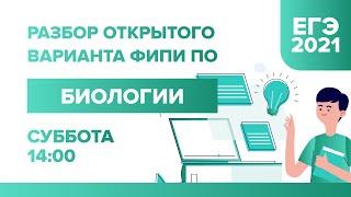 Разбор открытого варианта ФИПИ по Биологии ЕГЭ - 2021 | УМНИКУМ