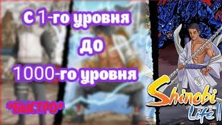 КАК БЫСТРО КАЧАТЬСЯ В Shinobi life 2?? Лучший фарм опыта. Как получать опыт? БОЛЬШОЙ УРОВЕНЬ! (ГАЙД)