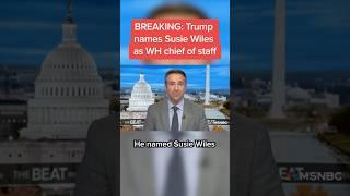 BREAKING: Trump names Susie Wiles as WH chief of staff