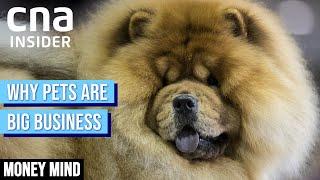 How Pet Care Became Big Business During COVID-19 Pandemic | Money Mind | Pet Economy