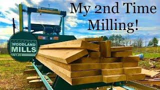 Homemade Tulip Poplar Lumber WOODLAND MILLS Sawmill