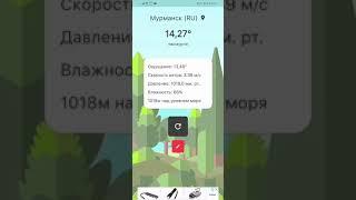 MyWeather - прогноз погоды | Android Studio - Java