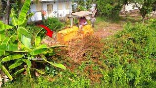 Amazing Skills Clearing Forest to Landfill By Bulldozer D31P Clearing Pushing Forest And 5Ton Truck