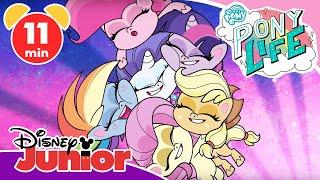  My Little Pony: Pony Life - Clip: Die schönsten Pony-Geschichten | Disney Junior