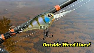 The Best Bass Lures For Fishing Outside Weed Lines!