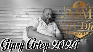 Gipsy Artep 2024  - Naroven Palmande ( Cover )