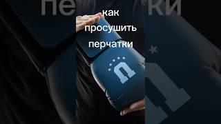 как сушить боксерские перчатки